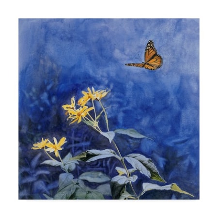 Rusty Frentner 'Monarch Butterfly' Canvas Art,24x24